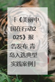 《美丽中国在行动2025》报告发布 青岛入选典型实践案例