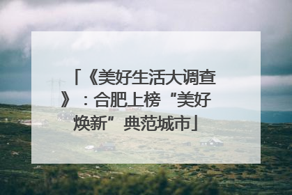 《美好生活大调查》：合肥上榜“美好焕新”典范城市