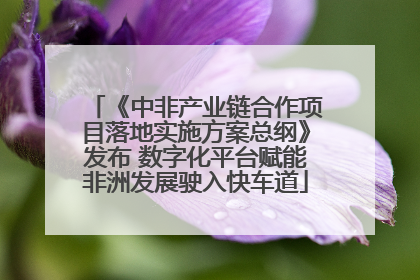 《中非产业链合作项目落地实施方案总纲》发布 数字化平台赋能非洲发展驶入快车道
