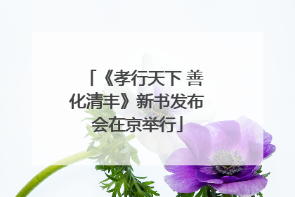 《孝行天下 善化清丰》新书发布会在京举行