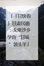 「甘快看」甘肃民勤：戈壁沙乡孕育“甘味”领头羊