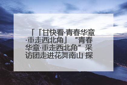 「甘快看·青春华章·重走西北角」“青春华章·重走西北角”采访团走进花舞南山 探寻天水乡村振兴之路