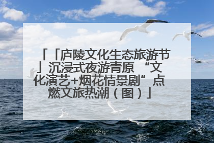 「庐陵文化生态旅游节」沉浸式夜游青原 “文化演艺+烟花情景剧”点燃文旅热潮（图）