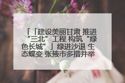 「建设美丽甘肃 推进“三北”工程 构筑“绿色长城”」绿进沙退 生态蝶变 张掖市多措并举加大防沙治沙力度