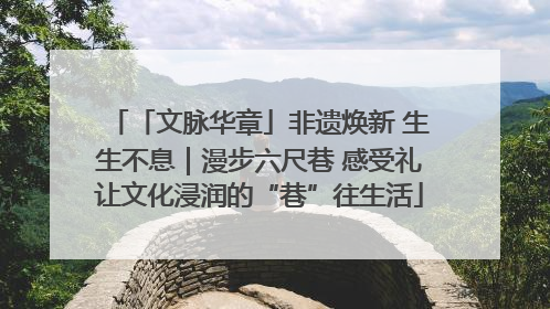 「文脉华章」非遗焕新 生生不息｜漫步六尺巷 感受礼让文化浸润的“巷”往生活
