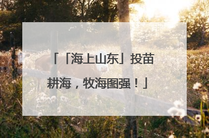「海上山东」投苗耕海，牧海图强！