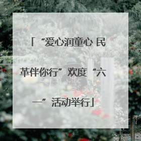 “爱心润童心 民革伴你行”欢度“六一”活动举行