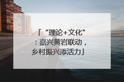 “理论+文化”：嘉兴黄岩联动，乡村振兴添活力