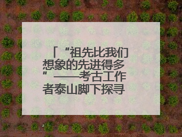 “祖先比我们想象的先进得多”——考古工作者泰山脚下探寻中华文明起源