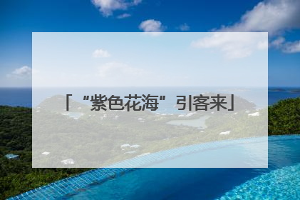 “紫色花海”引客来