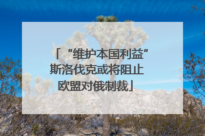“维护本国利益” 斯洛伐克或将阻止欧盟对俄制裁
