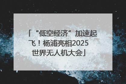 “低空经济”加速起飞！杨浦亮相2025世界无人机大会