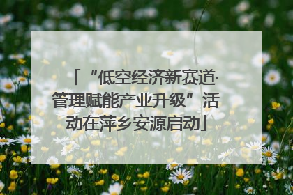 “低空经济新赛道·管理赋能产业升级”活动在萍乡安源启动