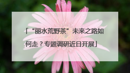 “丽水荒野茶”未来之路如何走？专题调研近日开展