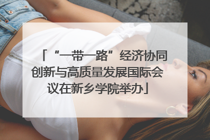 “一带一路”经济协同创新与高质量发展国际会议在新乡学院举办