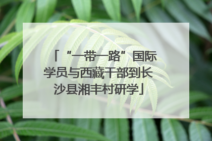 “一带一路”国际学员与西藏干部到长沙县湘丰村研学