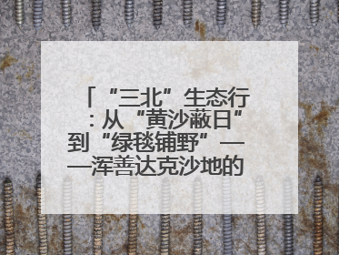 “三北”生态行：从“黄沙蔽日”到“绿毯铺野”——浑善达克沙地的“绿色重生”