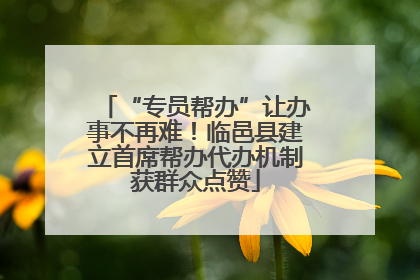 “专员帮办”让办事不再难！临邑县建立首席帮办代办机制获群众点赞