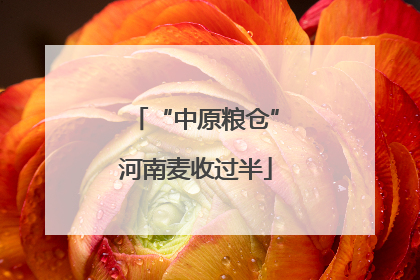 “中原粮仓”河南麦收过半