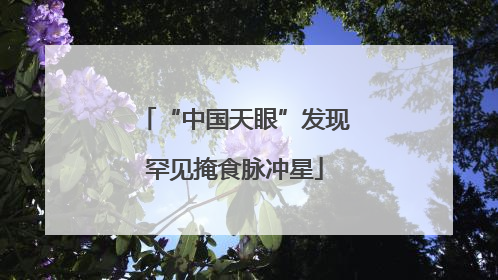 “中国天眼”发现罕见掩食脉冲星