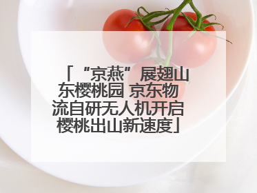 “京燕”展翅山东樱桃园 京东物流自研无人机开启樱桃出山新速度