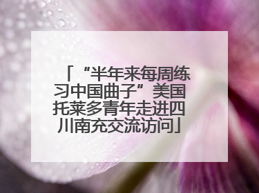 “半年来每周练习中国曲子”美国托莱多青年走进四川南充交流访问