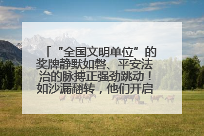 “全国文明单位”的奖牌静默如磐、平安法治的脉搏正强劲跳动！如沙漏翻转，他们开启了全新的计时