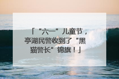 “六一”儿童节，亭湖民警收到了“黑猫警长”锦旗！