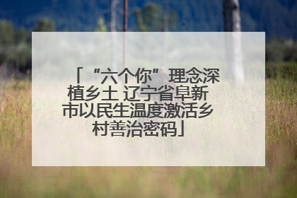 “六个你”理念深植乡土 辽宁省阜新市以民生温度激活乡村善治密码