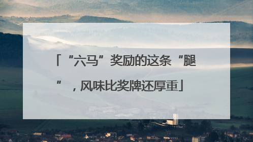 “六马”奖励的这条“腿”，风味比奖牌还厚重