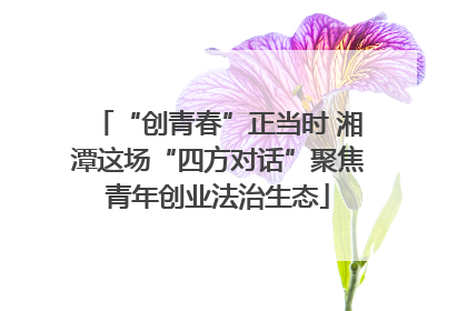 “创青春”正当时 湘潭这场“四方对话”聚焦青年创业法治生态