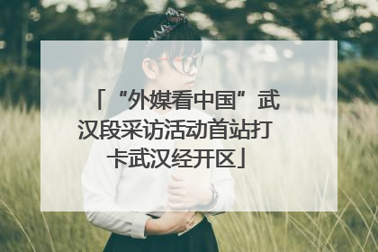 “外媒看中国”武汉段采访活动首站打卡武汉经开区