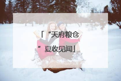 “天府粮仓”夏收见闻