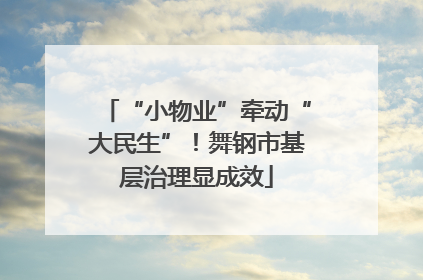 “小物业”牵动“大民生”！舞钢市基层治理显成效