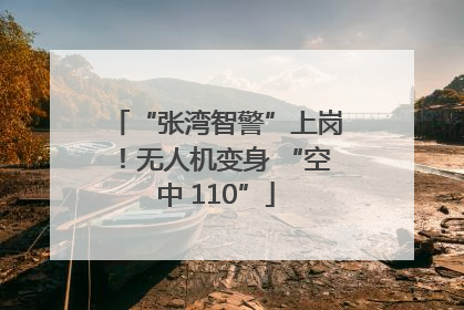 “张湾智警”上岗！无人机变身 “空中 110”