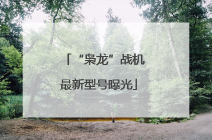 “枭龙”战机最新型号曝光