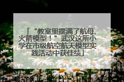“教室里摆满了航母、火箭模型！”武汉这所小学在市级航空航天模型实践活动中获佳绩