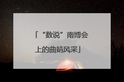 “数说”南博会上的曲靖风采