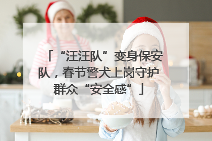 “汪汪队”变身保安队，春节警犬上岗守护群众“安全感”