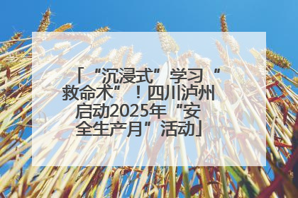 “沉浸式”学习“救命术”！四川泸州启动2025年“安全生产月”活动
