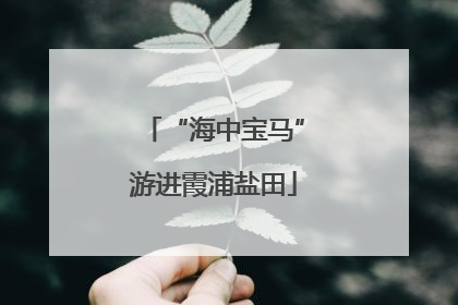 “海中宝马”游进霞浦盐田