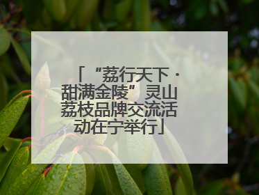 “荔行天下・甜满金陵”灵山荔枝品牌交流活动在宁举行