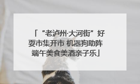 “老泸州·大河街”好耍市集开市 机器狗助阵端午美食美酒亲子乐
