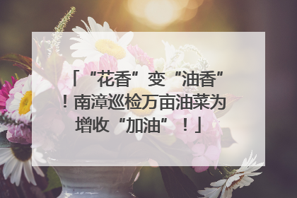 “花香”变“油香”！南漳巡检万亩油菜为增收“加油”！