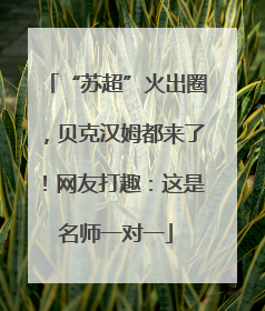 “苏超”火出圈，贝克汉姆都来了！网友打趣：这是名师一对一