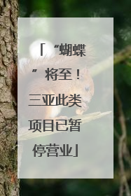 “蝴蝶”将至！三亚此类项目已暂停营业