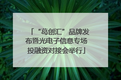 “葛创汇”品牌发布暨光电子信息专场投融资对接会举行