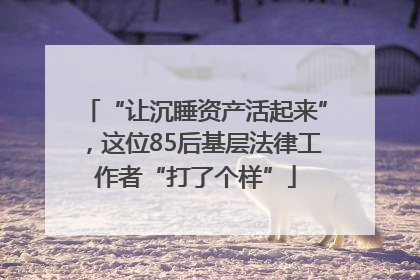 “让沉睡资产活起来”，这位85后基层法律工作者“打了个样”