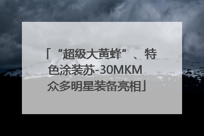 “超级大黄蜂”、特色涂装苏-30MKM 众多明星装备亮相
