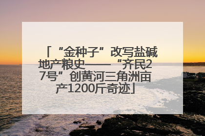 “金种子”改写盐碱地产粮史——“齐民27号”创黄河三角洲亩产1200斤奇迹